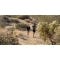 6 U.S. Trails Worth Traveling for (and Running On)