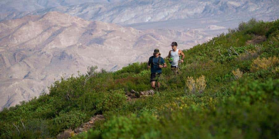 Mount Laguna Trail - Photo credit Todd Hockensmith