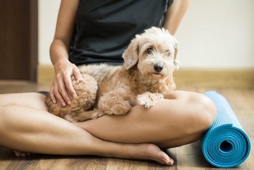 modern yoga