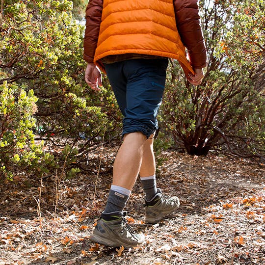 The back of a hiker as they walk down along a leafy trail. 