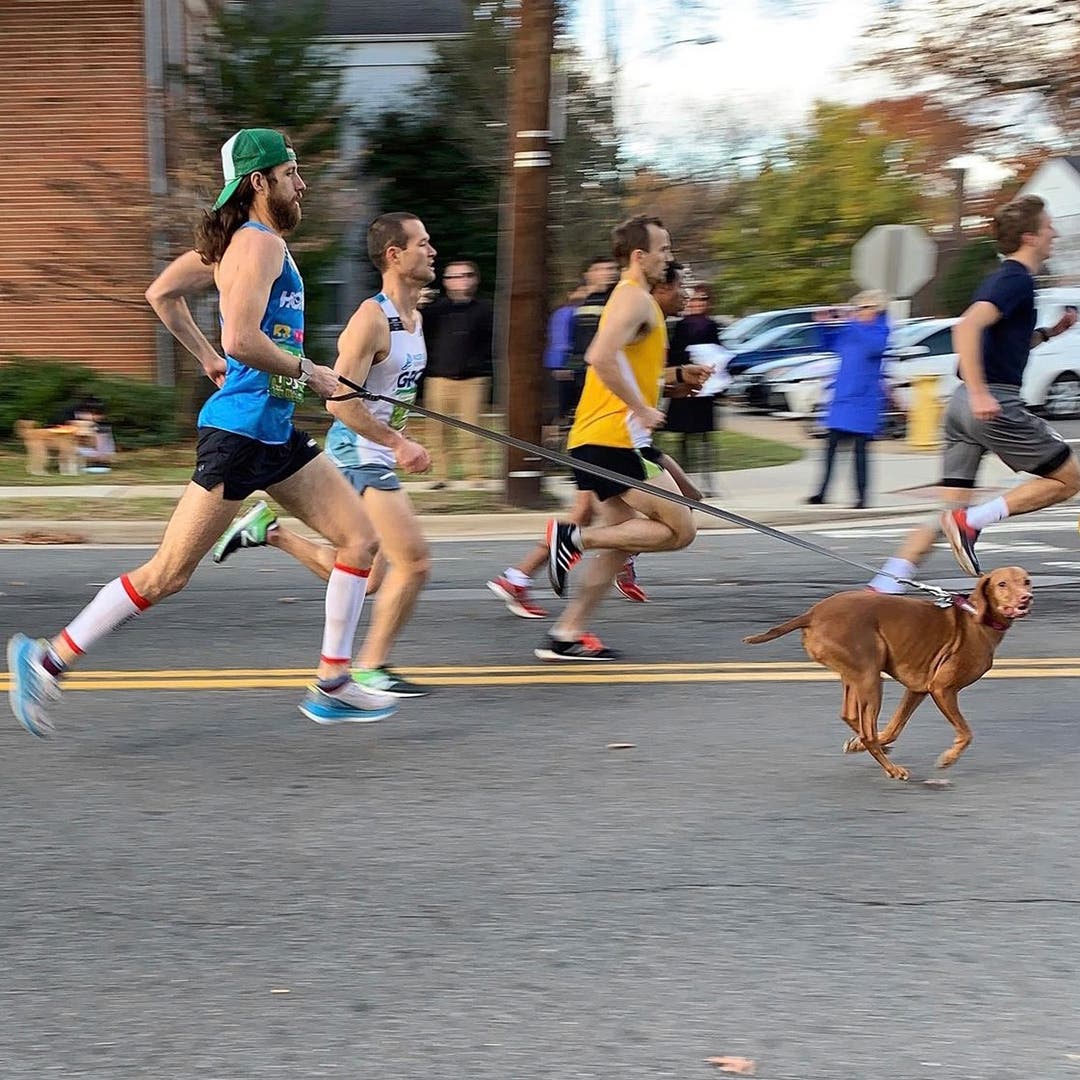 Mike Wardian running on pavement with his dog running in front of him on a leash.