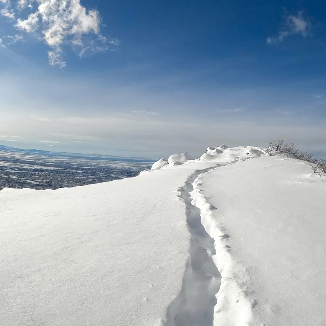 A snowy path leading toward an overlook in winter.